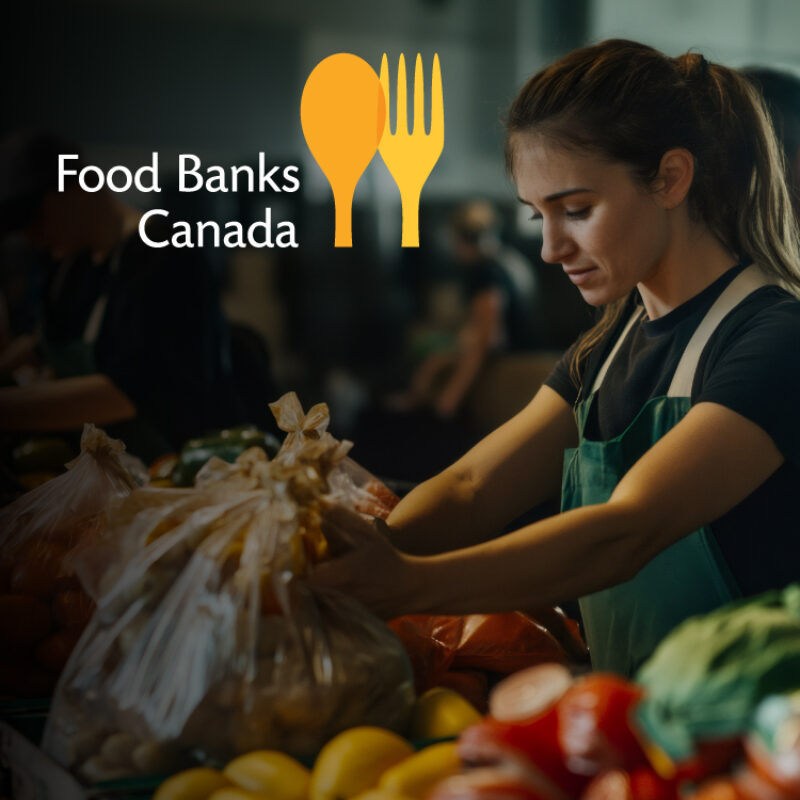 VinFast FBC Campaign